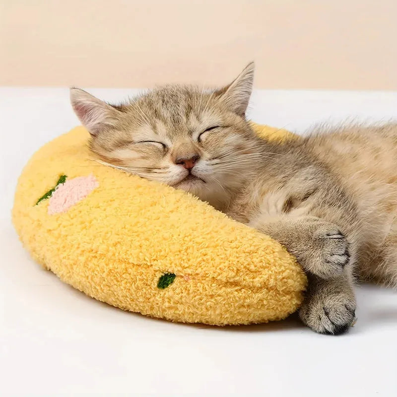 For Cats