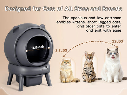 The Cumridge Self-Cleaning Litter Box is a high-performance, hygienic solution designed specifically for multi-cat households.