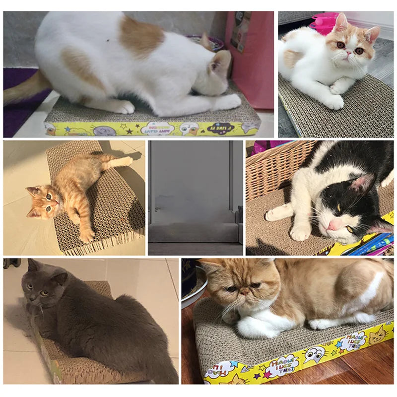 Cat Toys Cat Scraper Sharpening Claw Cardboard Corrugated Board Scratch-resistant Cat Scratch Board Cat Toy Sofa Cushion Bed