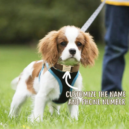 Velvet Dog Cat Collar Custom Engraved ID Tag Soft Adjustable Collar for Small Medium Large Dogs Cats