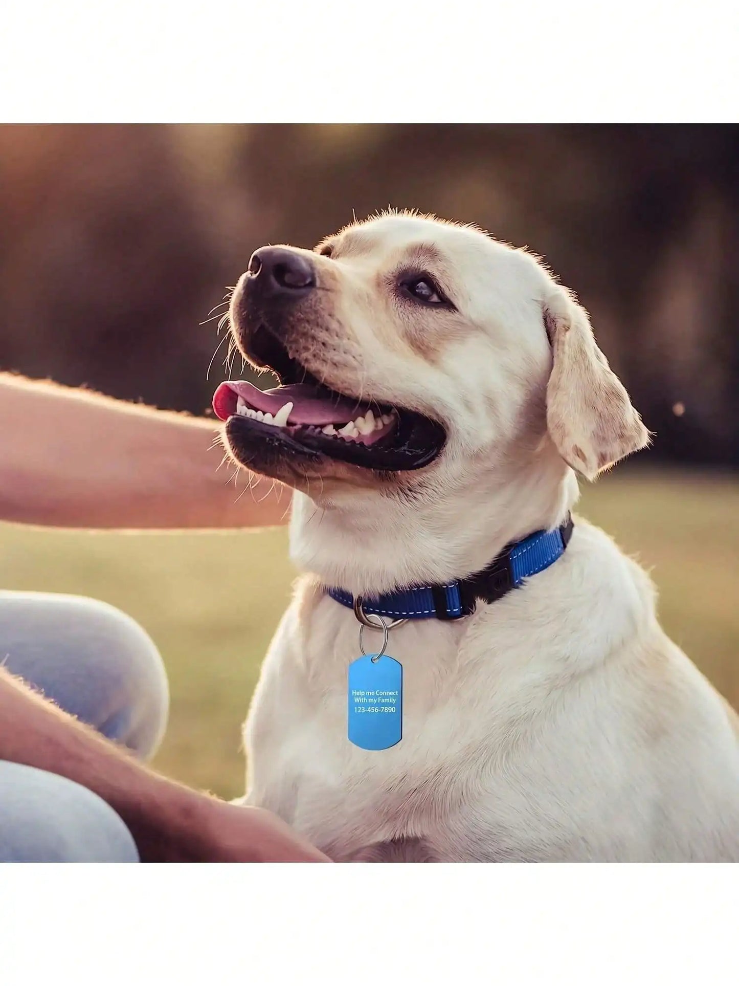 Personalized Laser Engraved Pet Tag Custom Name Number Anti Loss Rustproof Dog Cat ID Tag