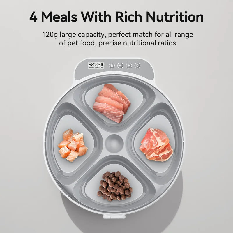 Automatic Pet Feeder 4 Meals For Wet Dry Food Feeding Wireless Smart Kibble Dispenser Cat Dog Multifunctional Cat Feeder