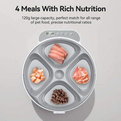 Automatic Pet Feeder 4 Meals For Wet Dry Food Feeding Wireless Smart Kibble Dispenser Cat Dog Multifunctional Cat Feeder