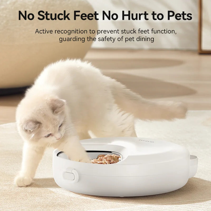 Automatic Pet Feeder 4 Meals For Wet Dry Food Feeding Wireless Smart Kibble Dispenser Cat Dog Multifunctional Cat Feeder