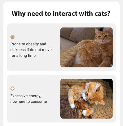 Automatic Cat Laser Toy Interactive 360° Adjustable Electric Cat Toy For Kitty Dog Indoor Smart Teasing Laser Cat Toys