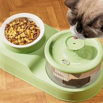 USB Charging 2-in-1 Pets Water Fountain Auto Filter Mute Cat Small Dog Drinker Bowl Large Capacity Neck Protection Pet Feeder for Home