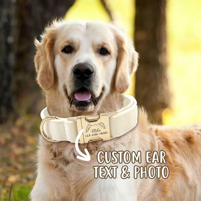 Velvet Dog Cat Collar Custom Engraved ID Tag Soft Adjustable Collar for Small Medium Large Dogs Cats