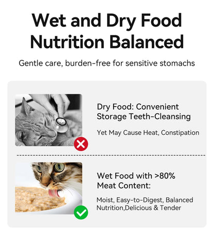 Automatic Pet Feeder 4 Meals For Wet Dry Food Feeding Wireless Smart Kibble Dispenser Cat Dog Multifunctional Cat Feeder