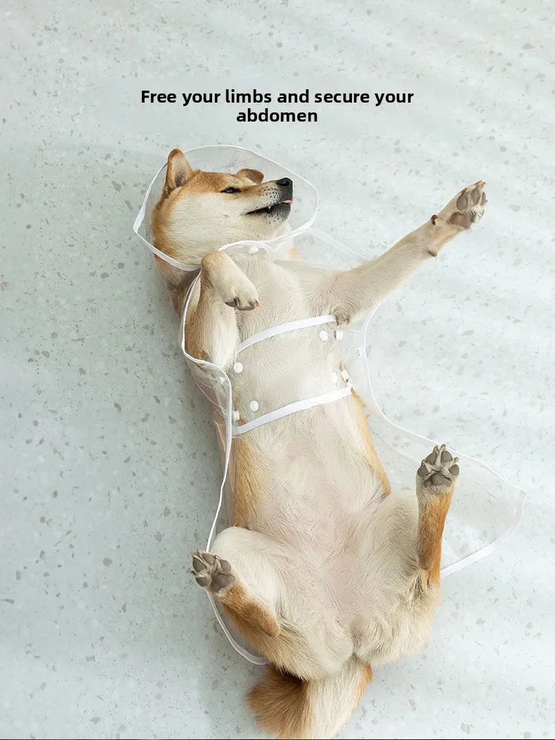Pet Raincoat Transparent Dog Raincoat Waterproof and Windproof Pet Clothing Large Dog Pet Dog Dog Costume