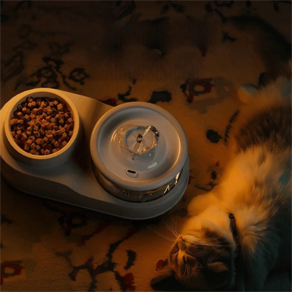 USB Charging 2-in-1 Pets Water Fountain Auto Filter Mute Cat Small Dog Drinker Bowl Large Capacity Neck Protection Pet Feeder for Home