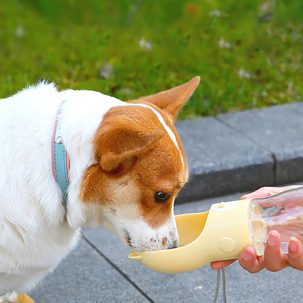 380ML Portable Dog Water Bottle For Small Medium Large Dogs Cats Outdoor Leakproof Puppy Drinking Bowl French Bulldog Supplies