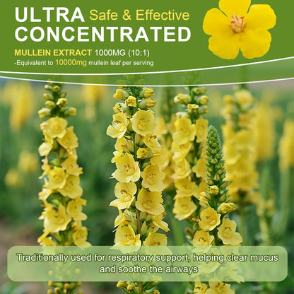 Drops Suitable For Lung Detoxification And Cleansing, Vegetarian Mullein Leaf Extract For Respiration, Immunity