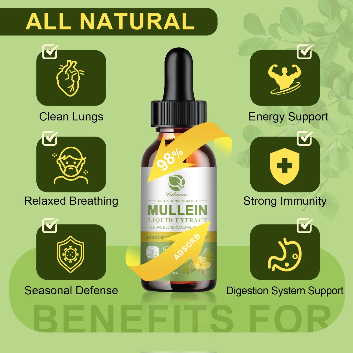 Drops Suitable For Lung Detoxification And Cleansing, Vegetarian Mullein Leaf Extract For Respiration, Immunity