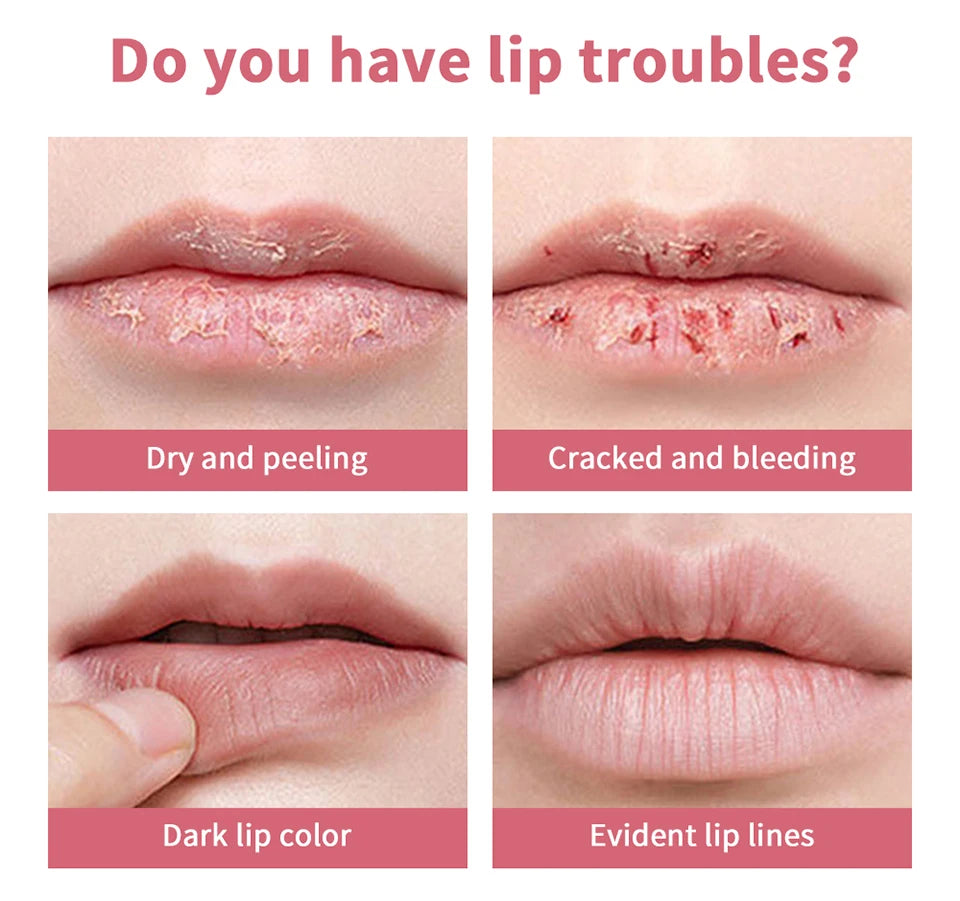 Lipstick Lip Balm Natural Color Creamy Texture Long Lasting Moisturizing  Nourishing Lip Care Gloss Cosmetic