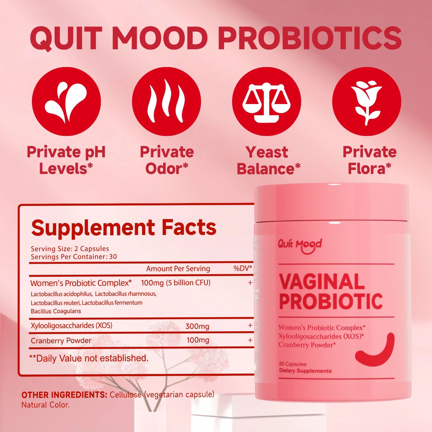 Quitmood Queen's Female-Focused Once-daily Women's complete V- Probiotics for Women - pH Balance, Odor Control, Yeast & Flora